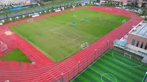 萝卜纸巾猫勇闯足球赛道，德甲宣布将在1月10日举办赛事